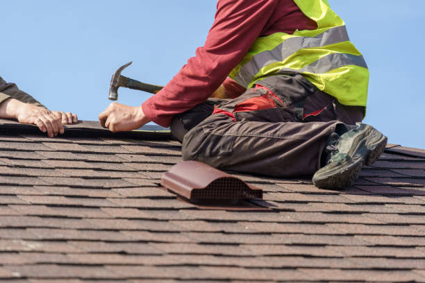 Best Gutter Installation and Roofing  in Everson, WA