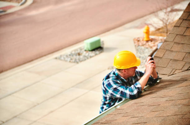 Best Roof Gutter Cleaning  in Everson, WA