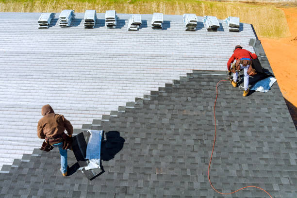 Best Metal Roofing Contractor  in Everson, WA