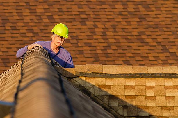 Best Roof Leak Repair  in Everson, WA