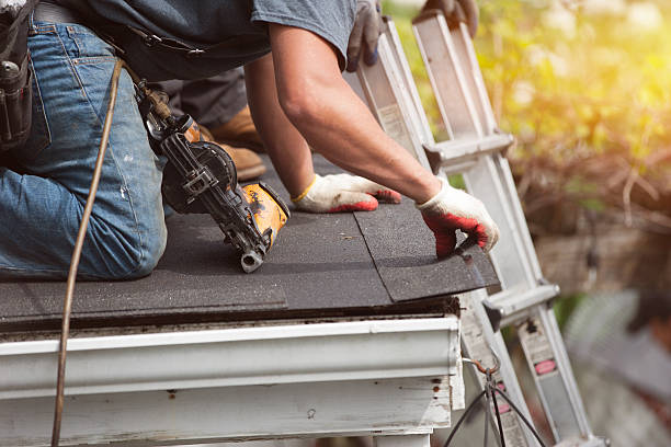 Best Shingle Roofing Installation  in Everson, WA